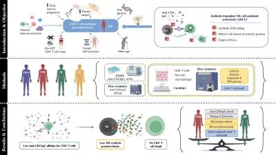 INR IR Anti-CD4  IgG   levels