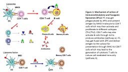 PPT-Figure 1: Simultaneous induction of innate and adaptive immune response by