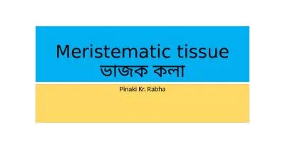 Meristematic tissue ভাজক কলা