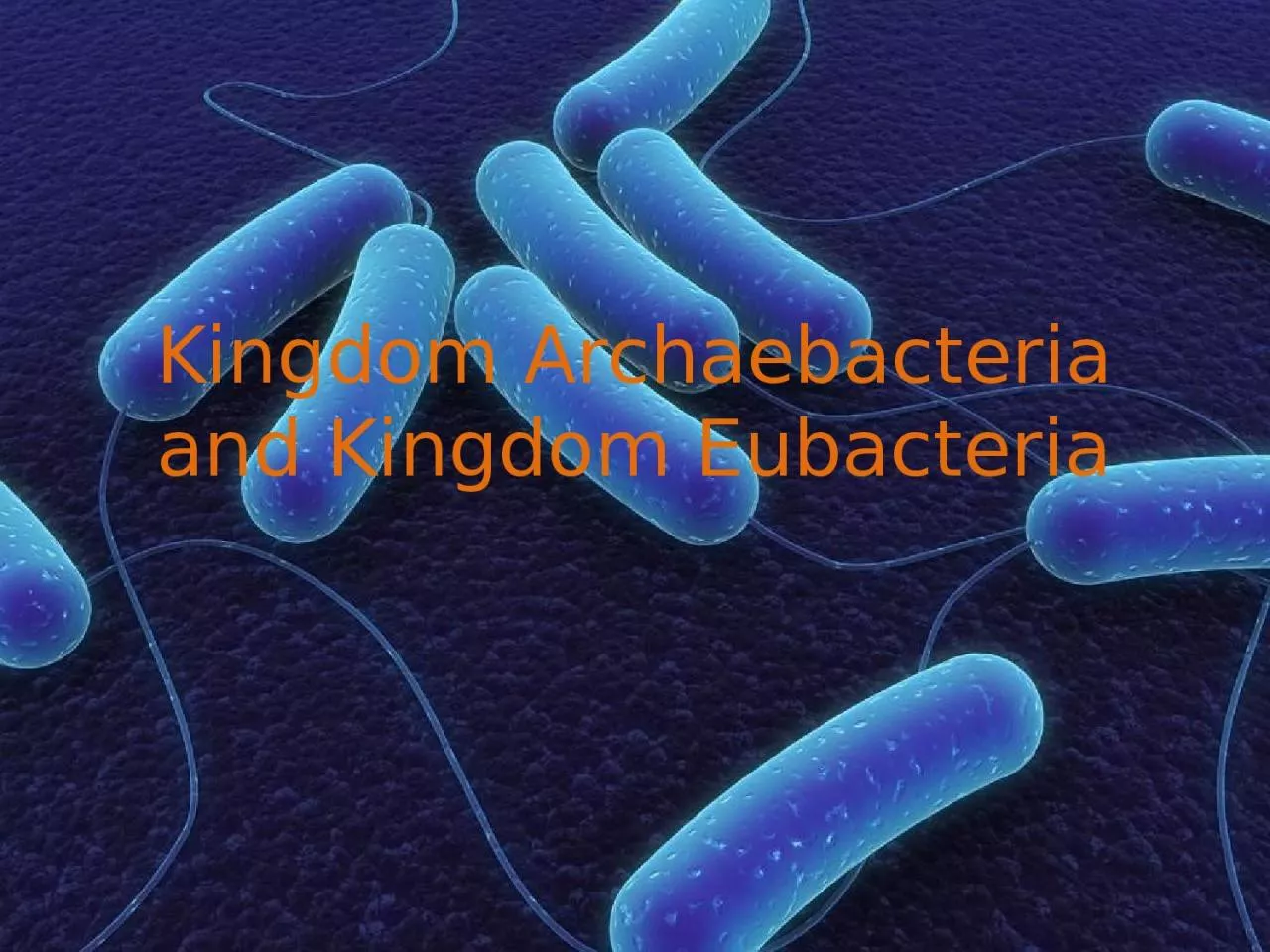 PPT-Kingdom Archaebacteria and Kingdom Eubacteria