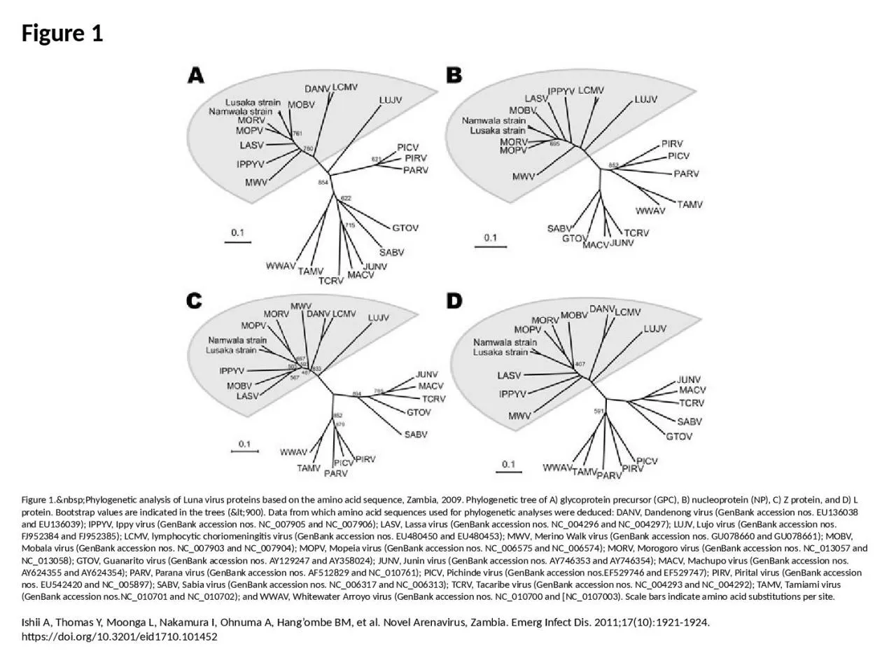 PPT-Figure 1 Figure 1.&nbsp;Phylogenetic analysis of Luna virus proteins based on the