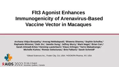 Flt3 Agonist Enhances  Immunogenicity of Arenavirus-Based Vaccine Vector in Macaques