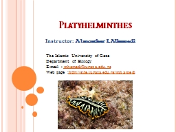 PPT-Platyhelminthes Instructor: