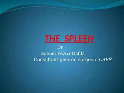 THE  SPLEEN Dr