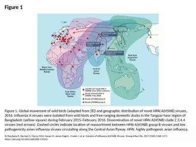 Figure 1 Figure 1. Global movement of wild birds (adapted from [8]) and geographic distribution of