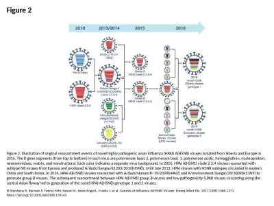 Figure 2 Figure 2. Illustration of original reassortment events of novel highly pathogenic