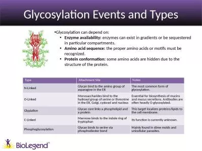 Glycosylation Events and Types