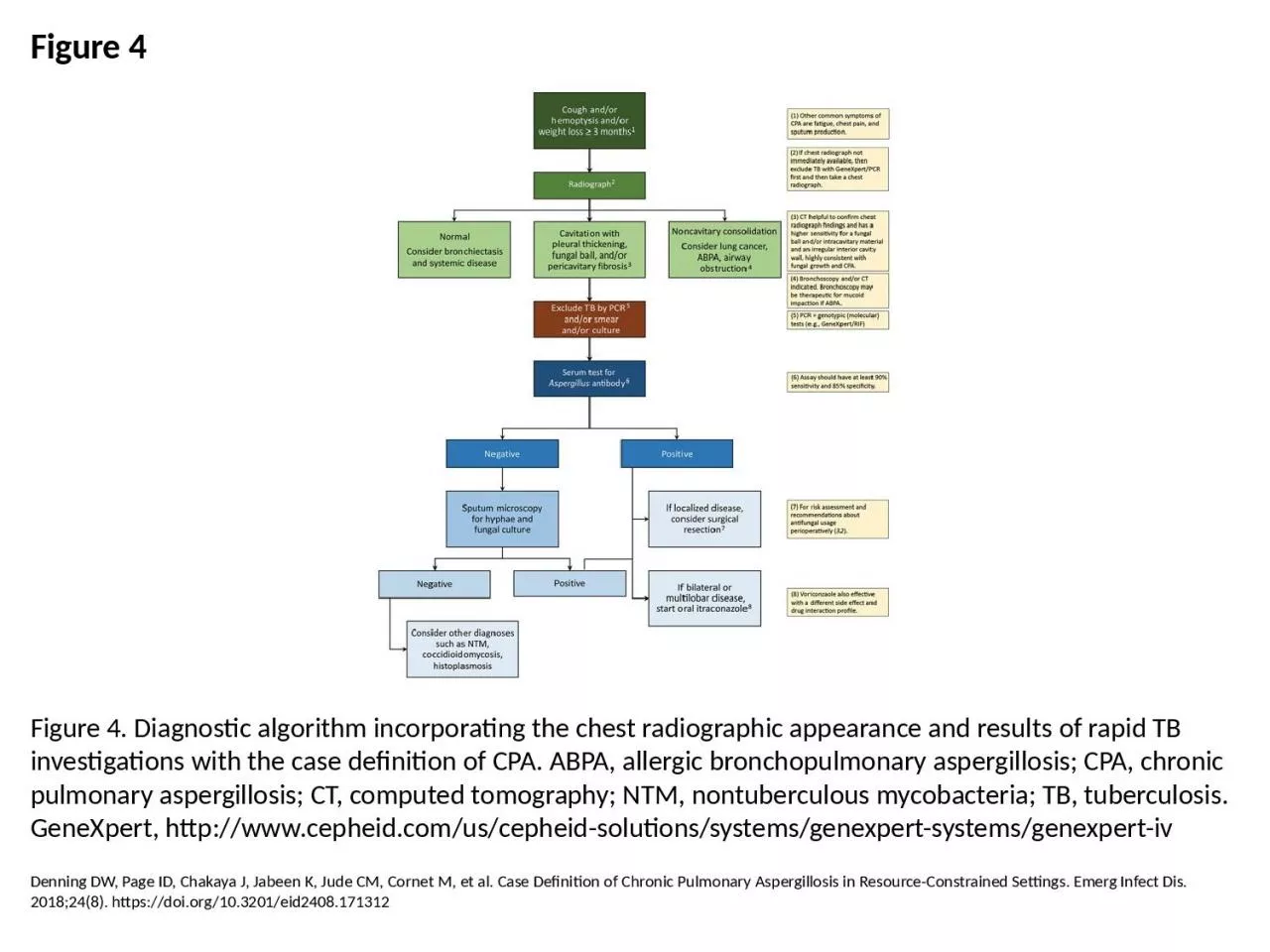 PPT-Figure 4 Figure 4. Diagnostic algorithm incorporating the chest radiographic appearance