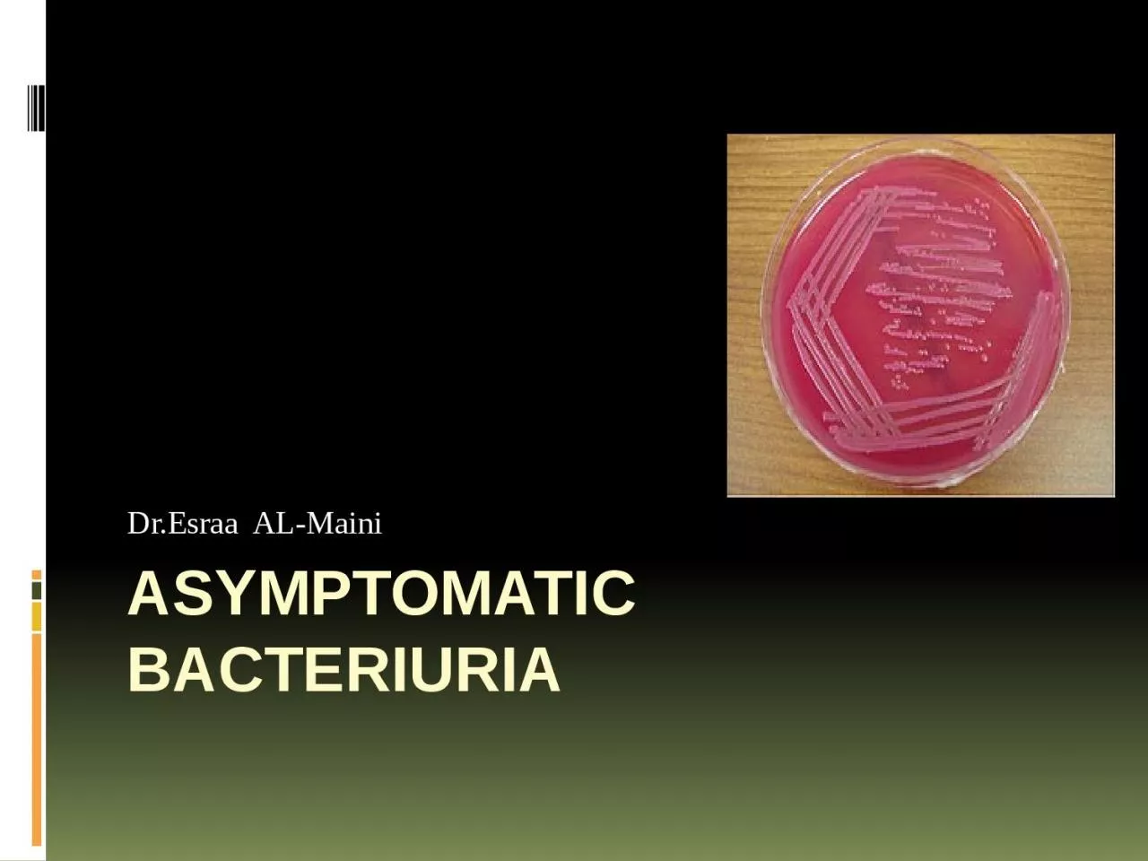 PPT-Asymptomatic bacteriuria