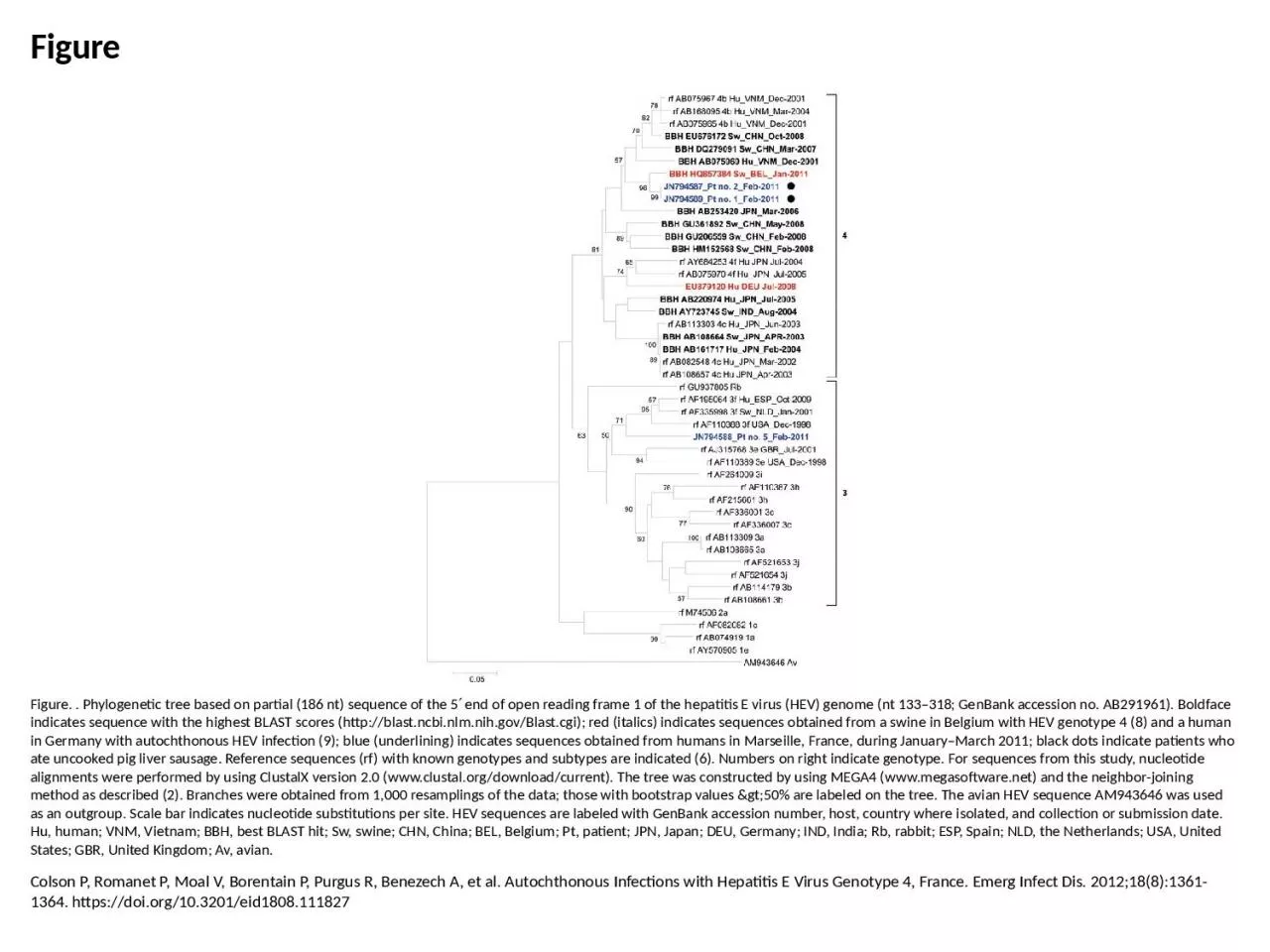 PPT-Figure Figure. . Phylogenetic tree based on partial (186 nt) sequence of the 5′ end