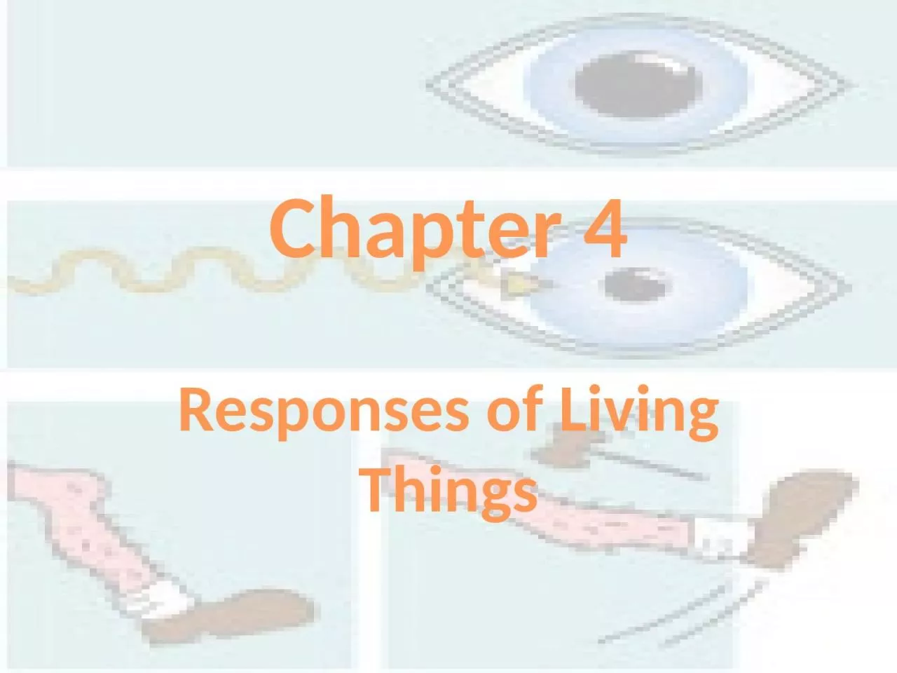 Chapter 4 Responses of Living Things