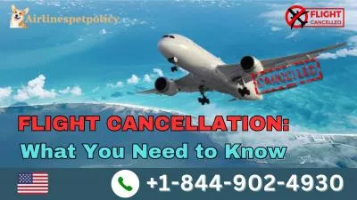 Flight Cancellation: What to need to now?