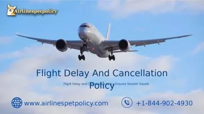 How to get compensation for delayed flight