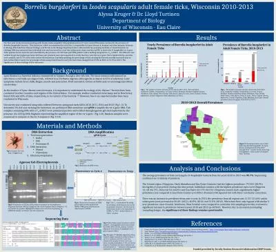 Abstract  Results Borrelia burgdorferi