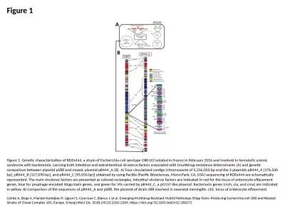 Figure 1 Figure 1. Genetic characterization of RDEx444, a strain of Escherichia coli serotype