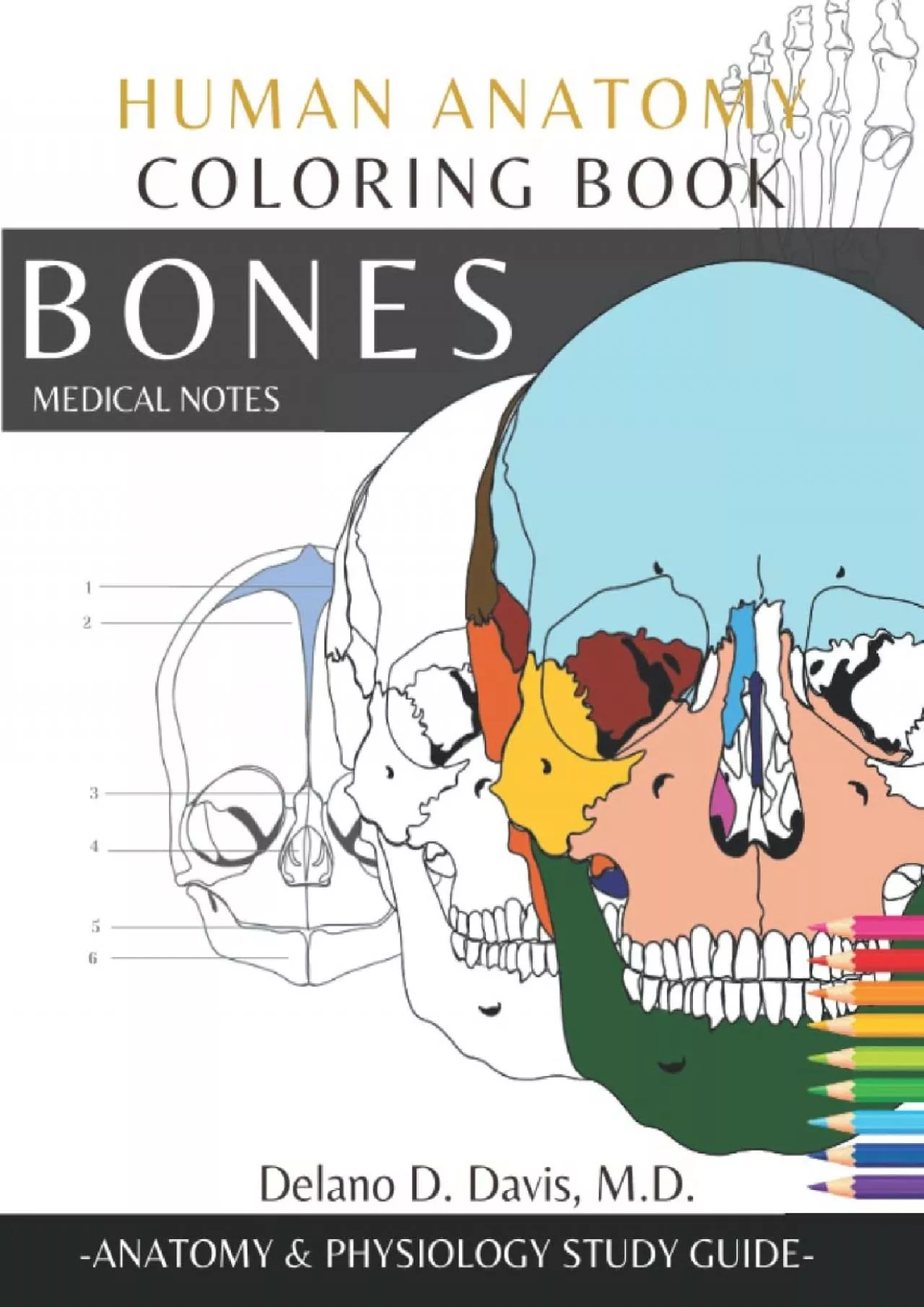 [DOWNLOAD] Human Anatomy Coloring Book: Bones. Medical Notes | Detailed illustrations