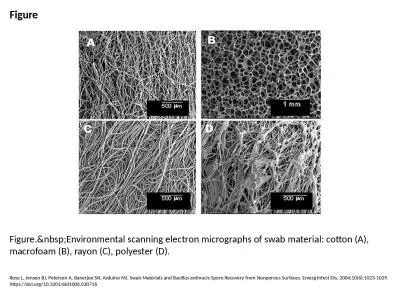 Figure Figure.&nbsp;Environmental scanning electron micrographs of swab material: