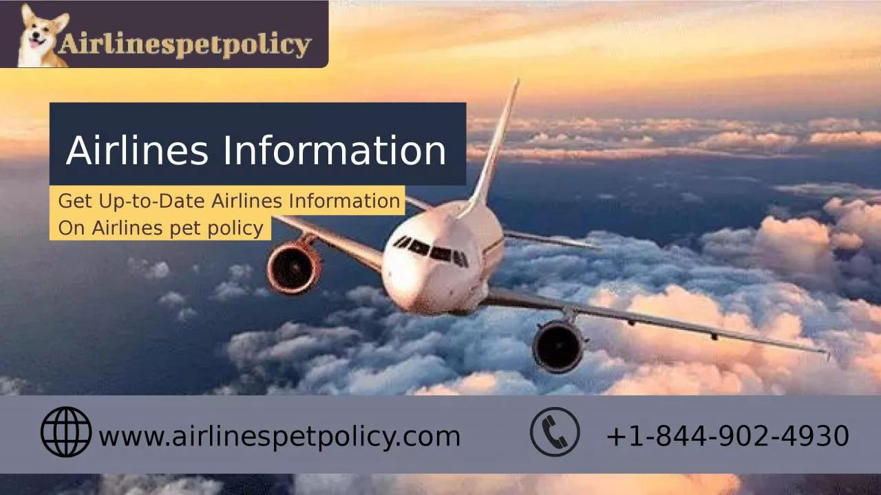 PPT-How Do I Find Airlines Information