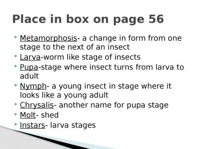 Metamorphosis - a change in form from one stage to the next of an insect