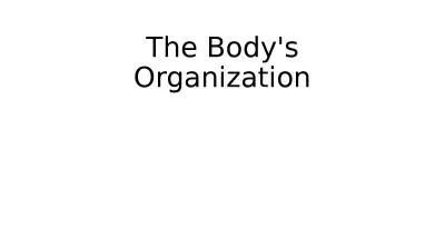 The Body's Organization anatomy