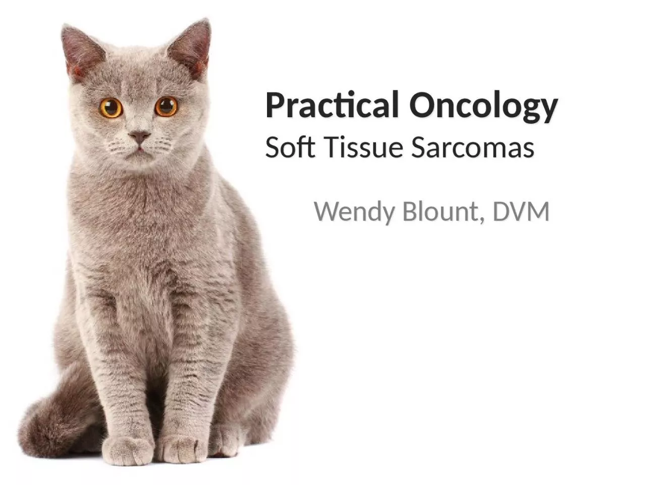 PPT-Practical Oncology Soft Tissue Sarcomas