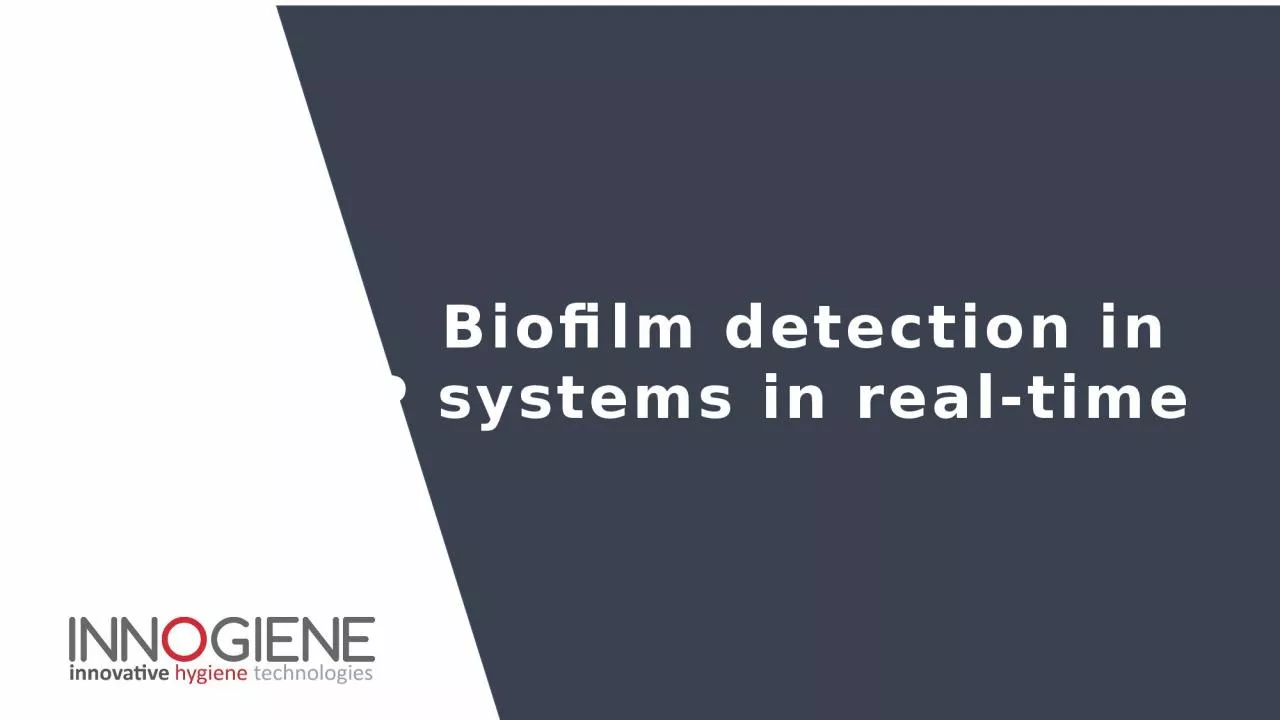 PPT-1 Biofilm detection in CIP systems in real-time