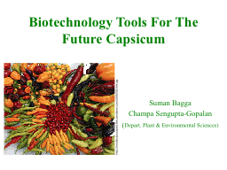 Biotechnology Tools For The Future Capsicum