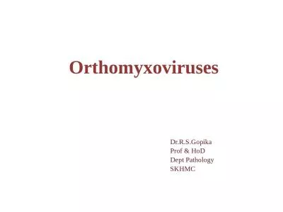 Orthomyxoviruses Dr.R.S.Gopika