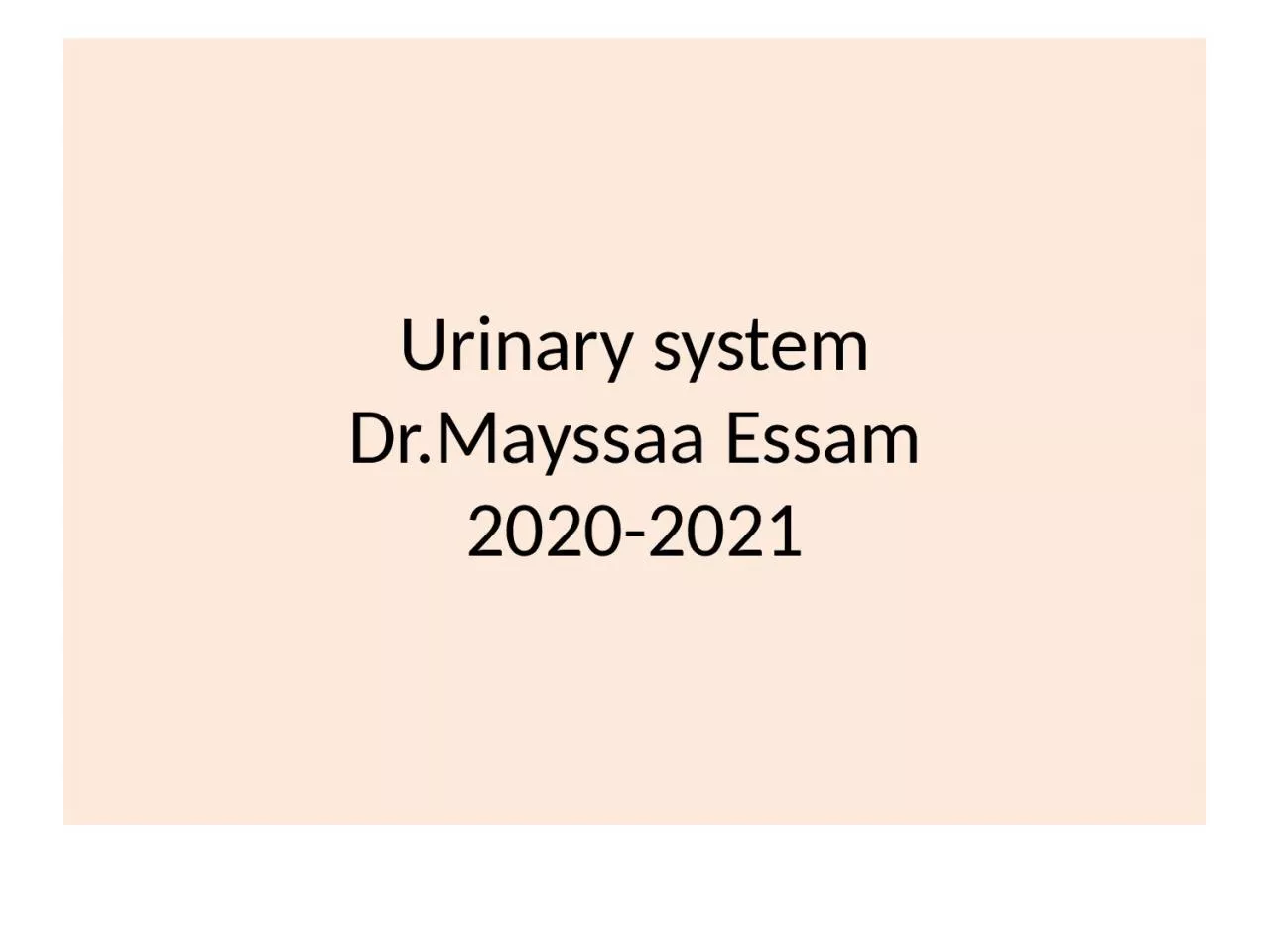 PPT-Urinary system Dr.Mayssaa