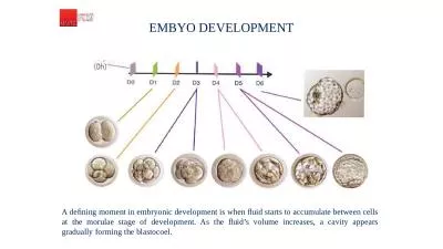 EMBYO DEVELOPMENT A deﬁning moment in embryonic development is when ﬂuid starts to