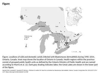 Figure Figure. Locations of wild and domestic canids infected with Blastomyces dermatitidis during