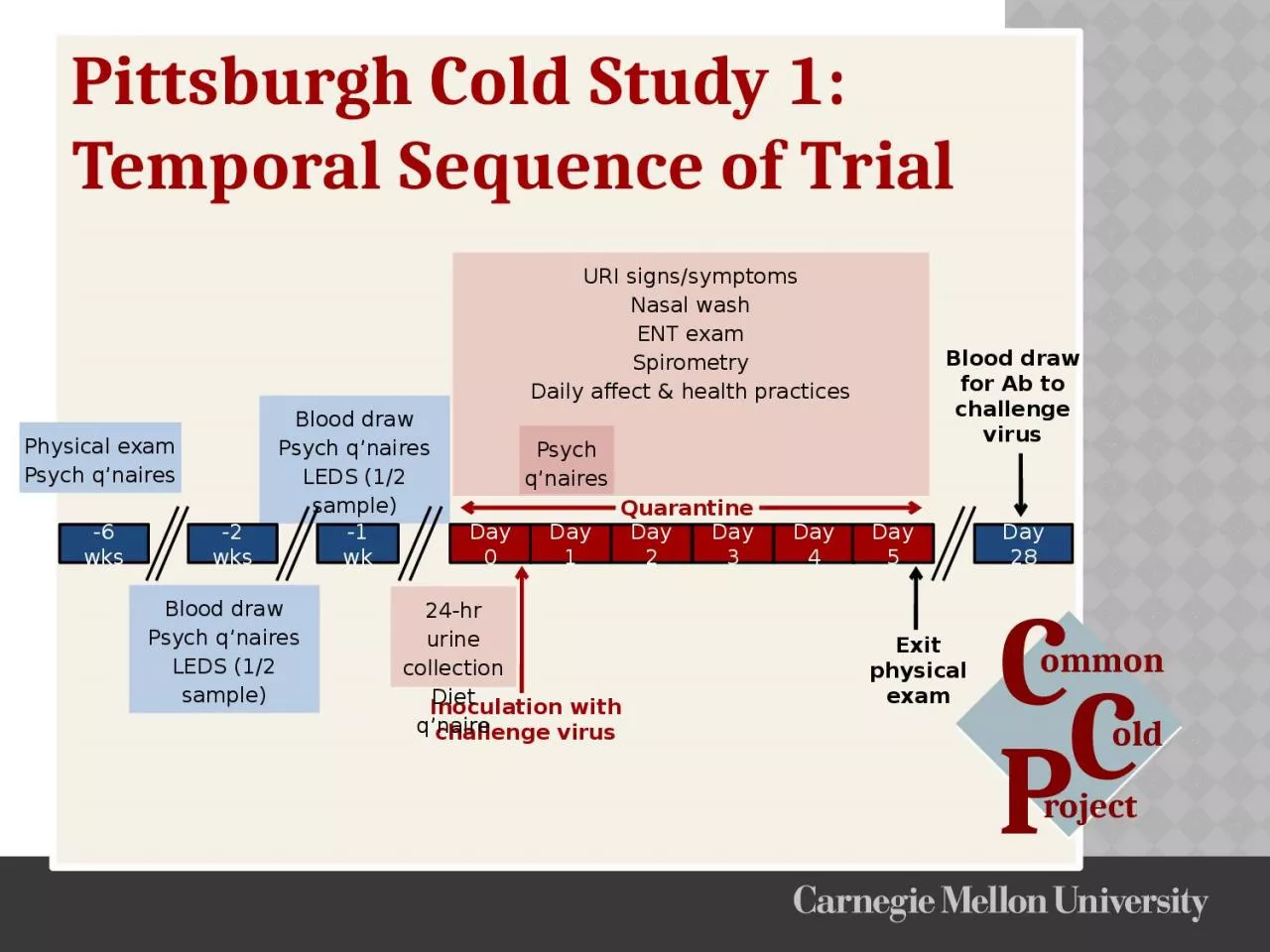 PPT-Blood draw Psych q’naires