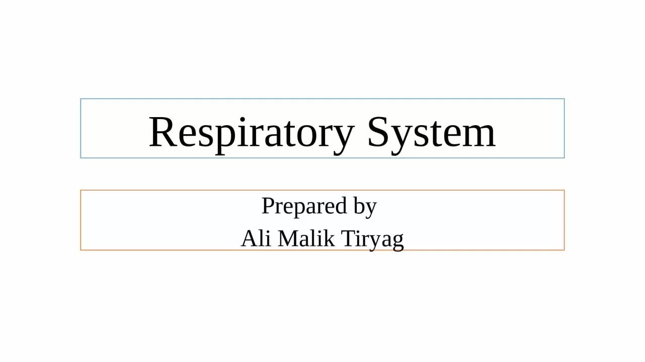 Respiratory System Prepared by