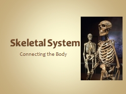 PPT-Skeletal System Connecting the Body