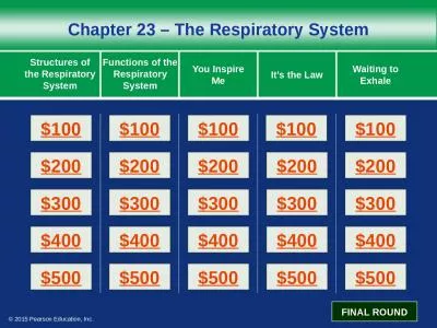 Chapter  23  –  The Respiratory System