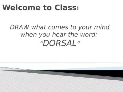 Welcome to Class ! DRAW what comes to your mind when you hear the word: