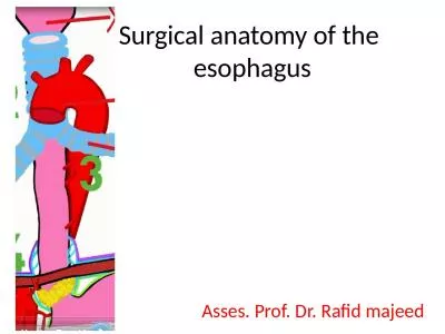 Surgical anatomy of the esophagus
