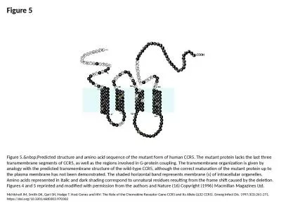 Figure 5 Figure 5.&nbsp;Predicted structure and amino acid sequence of the mutant