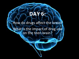 PPT-DAY 6: How do drugs affect the brain?