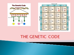 THE GENETIC CODE Genes contain the coded formula needed by the