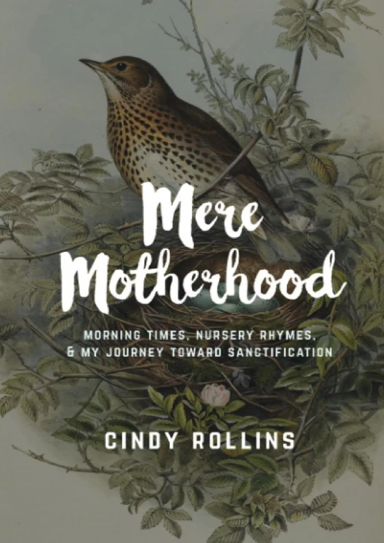 PDF-[READ] Mere Motherhood: Morning Times, Nursery Rhymes, My Journey Toward Sanctification