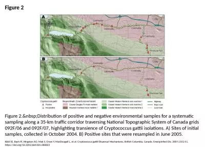 Figure 2 Figure 2.&nbsp;Distribution of positive and negative environmental samples for a syste