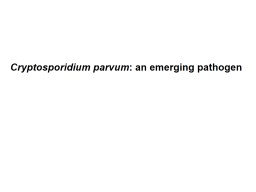 PPT-Cryptosporidium parvum : an emerging pathogen