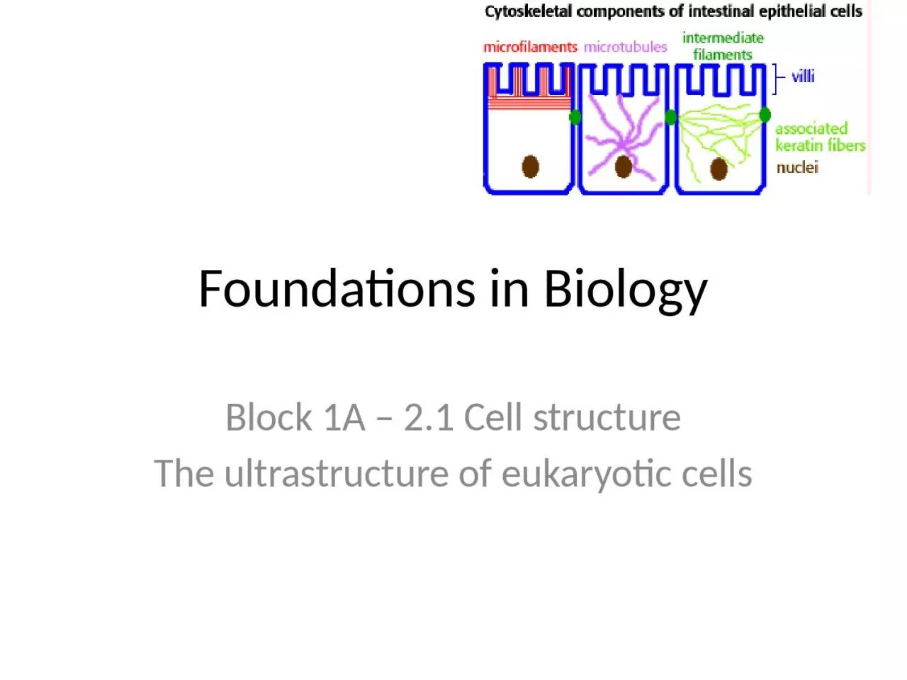 PPT-Foundations in Biology Block 1A – 2.1 Cell structure