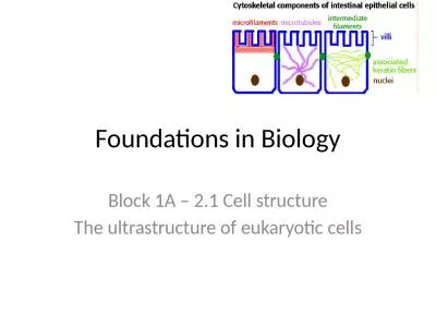 Foundations in Biology Block 1A – 2.1 Cell structure