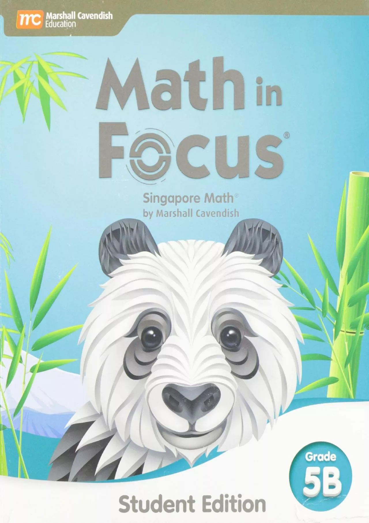 PDF-[DOWNLOAD] Student Edition Volume B Grade 5 2020 (Math in Focus)