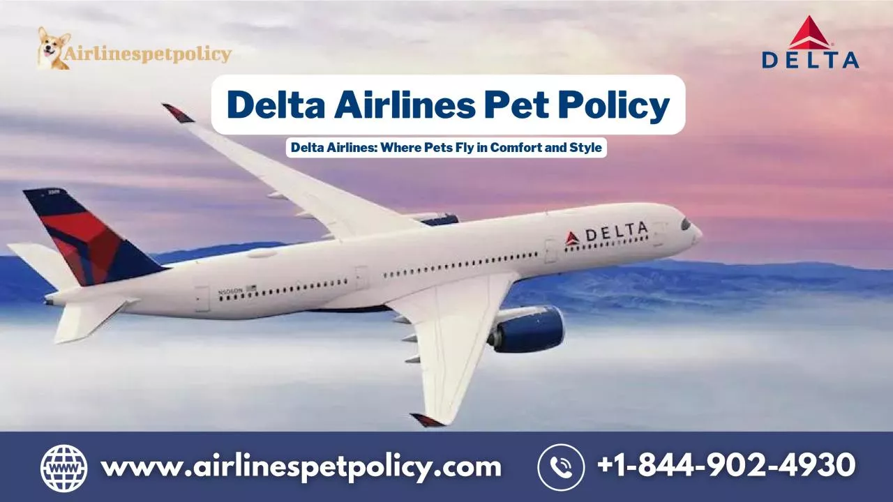 PDF-How to add pet to Delta Flight