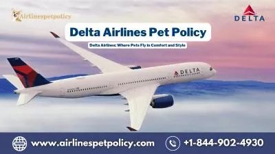 How to add pet to Delta Flight