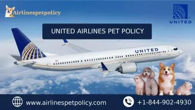 How to travel with a dog on united airlines