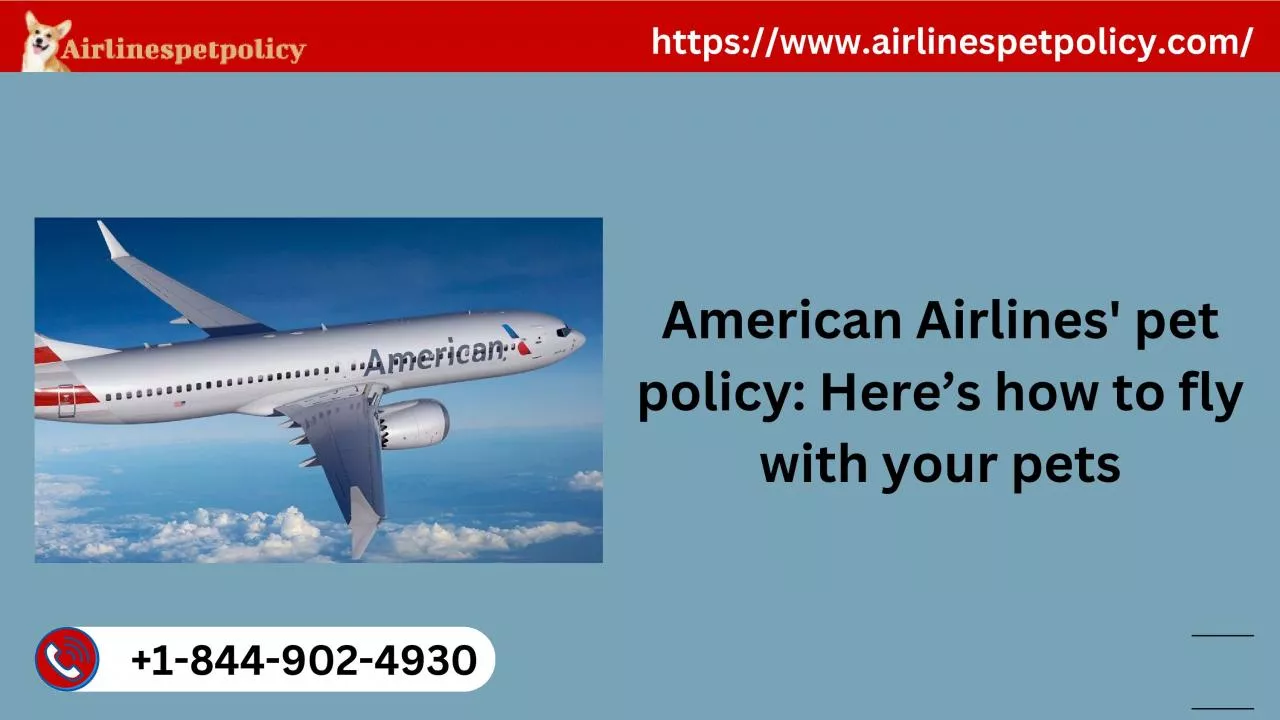 PDF-American Airlines Pet Policy